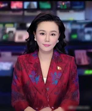 中国有名的女主播(央视中文国际频道十大新闻美女主播，谁实力最强？)