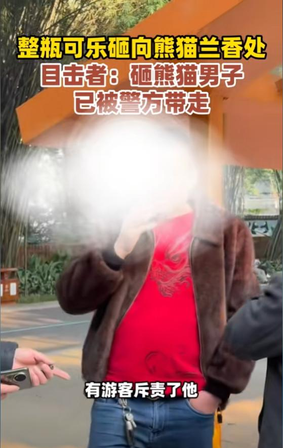 男子拿可乐砸熊猫后续：警方已带走，当事人疑似喝酒，知情人爆料