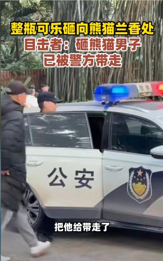 男子拿可乐砸熊猫后续：警方已带走，当事人疑似喝酒，知情人爆料