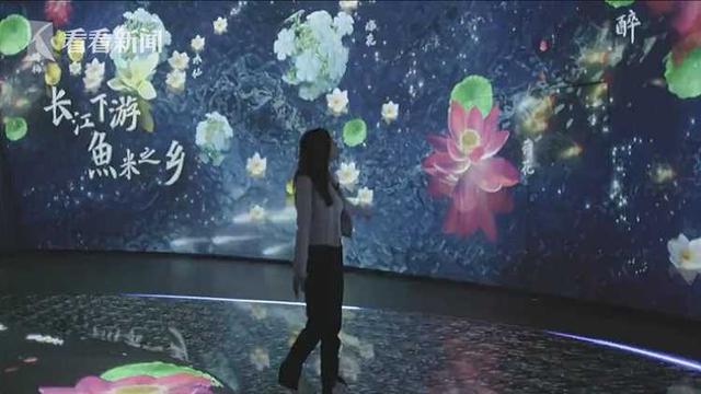 探秘花博会“大蝴蝶”东馆 万花竞放虚拟绚丽空间