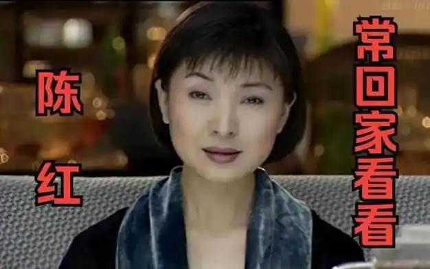 美女主持私生活混乱?和冯小刚夜宿8小时,陈红老公为其花1000万