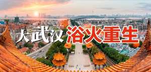 女主播水仙打车(网约车何时恢复，还能不能放心坐？这里有你关心的答案)