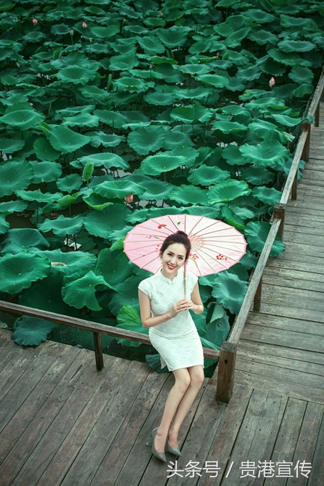 围观！贵港荷花展开展仪式明天举行！现场要来一位“网红”美女主播？