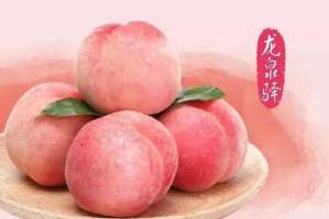 仙桃福利女主播(街道书记变身“主播”，短视频为水蜜桃“带货”)