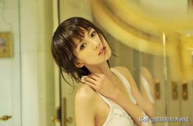 一起尝尝SCC的那些瓜!嫩模、土豪的真实故事