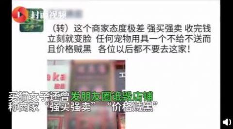 女子退猫不成暴摔小猫还用脚踩,监控拍下虐心一幕,当事人回应了