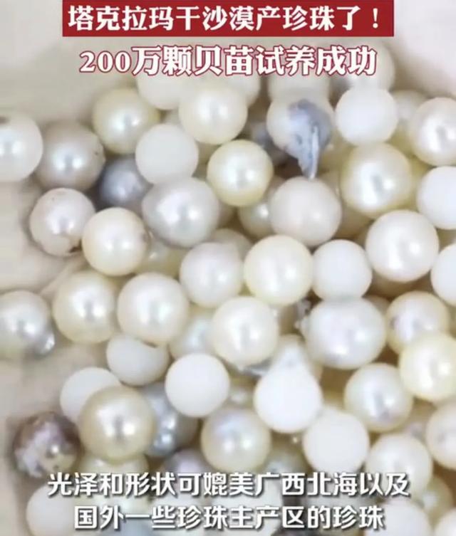 新疆塔克拉玛干沙漠开始产珍珠了!揭秘不可思议背后的震撼