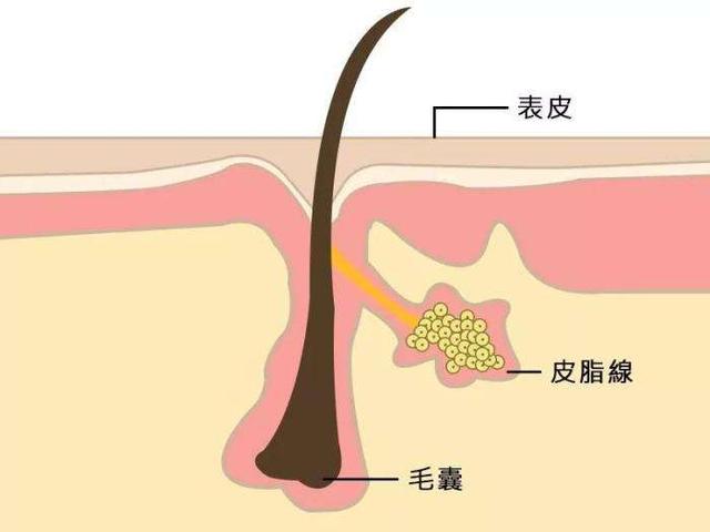 芒果台女主持二胎后转型网红主播，直播时手部皮肤出卖了她的年龄