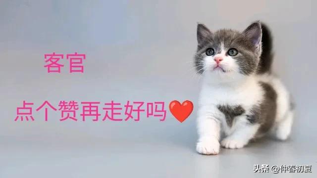 10岁男孩打赏主播14万,申请退款被平台拒绝!后续:二审维持原判