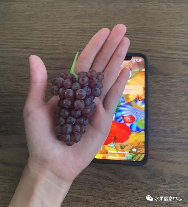 这可能是我吃过最迷你的葡萄了