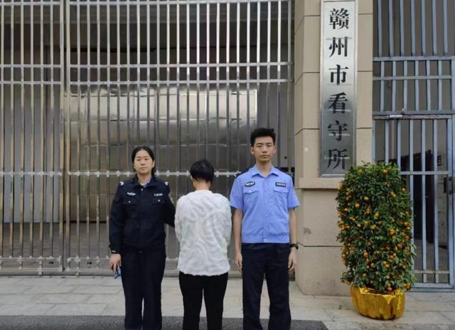 跨省追捕！女主播田某到案！