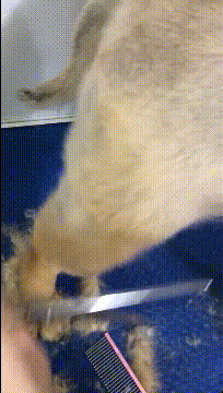 情侣在地铁上兴致激增不背人，一旁阿姨尴尬夹腿：都起鸡皮疙瘩了