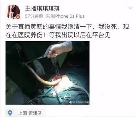 又一直播APP涉黄涉赌!尺度令人咋舌