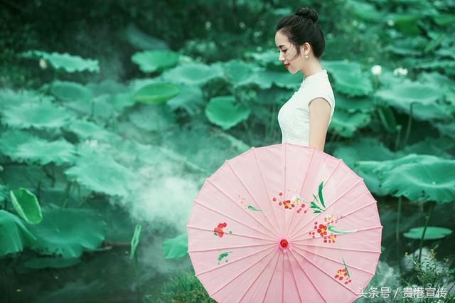 围观！贵港荷花展开展仪式明天举行！现场要来一位“网红”美女主播？