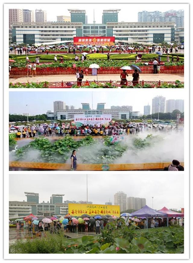 围观！贵港荷花展开展仪式明天举行！现场要来一位“网红”美女主播？