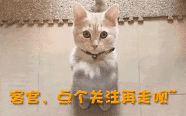 她天生没子宫，被人称作“石女”！前夫背叛张惠妹后又抛弃她！
