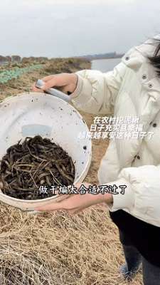 女主播直播塞泥鳅视频(1小时狂挖半桶，湖北姑娘失业回家转行泥鳅西施，引得百万人围观)