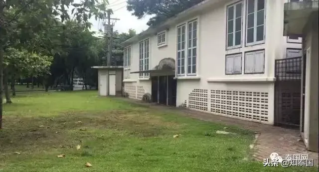 佛祖，蜥蜴，避孕套，同性恋聚会，以及曼谷市长的赌局