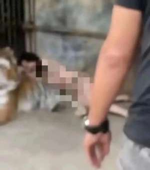 老虎女主播野战(为了流量一幕惊心她竟赤裸与猛兽拍照)