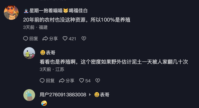 1小时狂挖半桶,湖北姑娘失业回家转行泥鳅西施,引得百万人围观