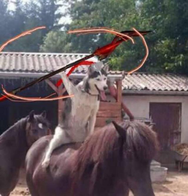 剑网3全民福利,JK制服、黑丝诱惑一网打尽!快来看获取攻略吧