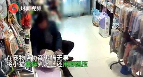 女子退猫不成暴摔小猫还用脚踩,监控拍下虐心一幕,当事人回应了