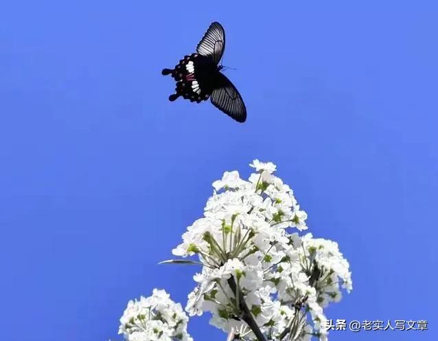 65~75岁,人生的第二次春天:“五五定律”教你活出平衡