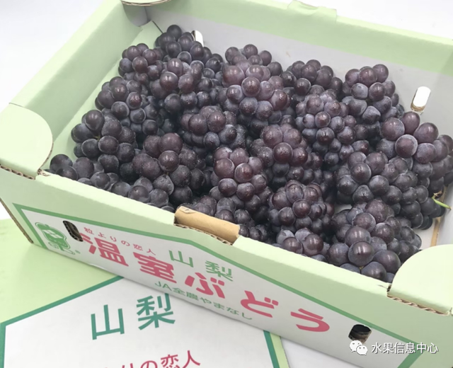 这可能是我吃过最迷你的葡萄了