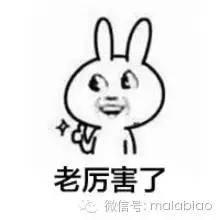 傅园慧又直播了，采访她的是大王，两个摩羯座的人是怎么不冷场的