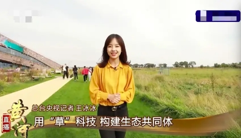 央视女主播胡蝶:美貌与才华,事业与婚姻应有尽有,只差当上国脸