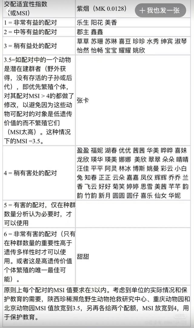 最佳CP是紫烟!肩负几家重任的阳花,诞下双胞胎,大崽有小口罩