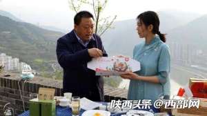 女主播 青草(旬阳县副县长直播“带货”为农产品代言)