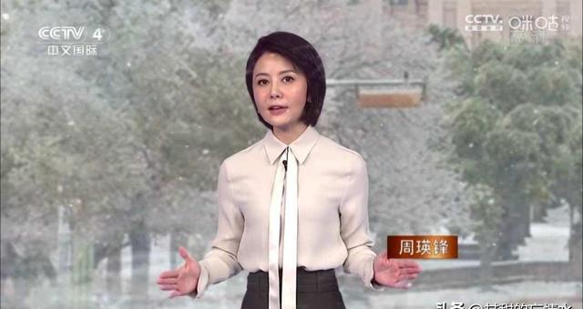 央视《中国新闻》女主播魅力盘点，谁才是你心中的最佳？