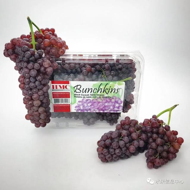 这可能是我吃过最迷你的葡萄了