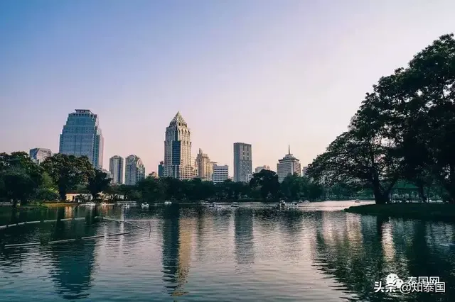 佛祖，蜥蜴，避孕套，同性恋聚会，以及曼谷市长的赌局