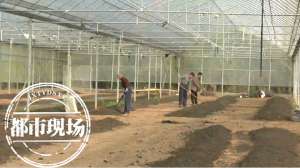 黄鳝牛蛙女主播(小蚯蚓有“大能量” 他回乡创业带富乡邻)