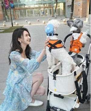 最火辣女主播(女主播火辣身材惹老戏骨艳遇，内幕令人震惊)