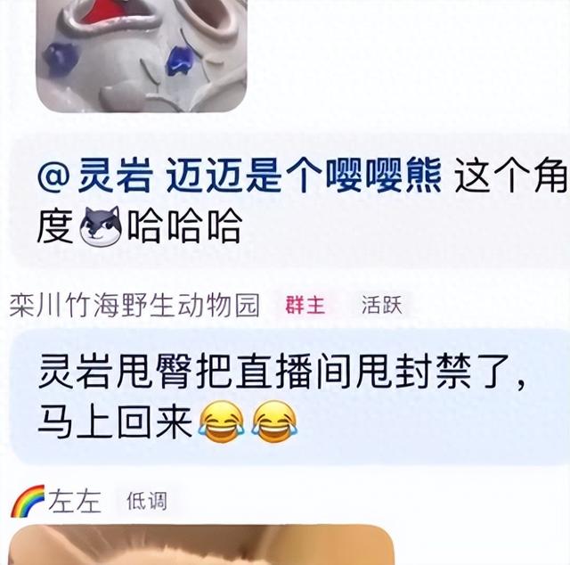 主播用力过猛,直播性感电臀舞被封十分钟!哈哈哈……