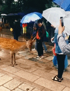 情侣在地铁上兴致激增不背人，一旁阿姨尴尬夹腿：都起鸡皮疙瘩了
