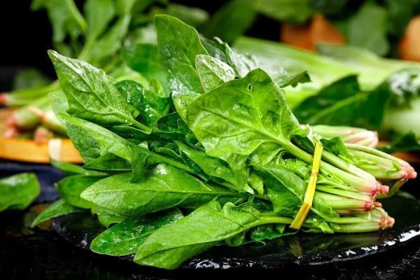 这9种食物越吃越笨,尤其是最后一种,有些人天天吃、顿顿吃!