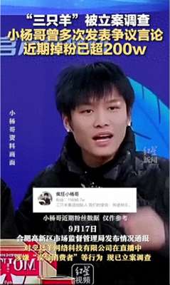 218女主播事件(小杨哥曾多次发表争议言论，近30天内掉粉超218万)