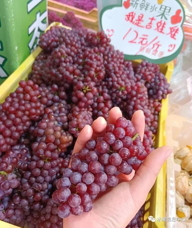 这可能是我吃过最迷你的葡萄了
