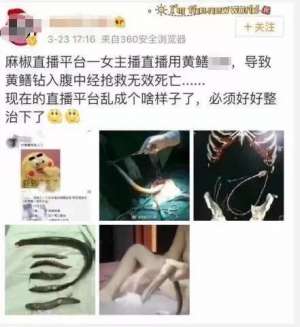 女主播直播黄鳝死亡(又一直播APP涉黄涉赌尺度令人咋舌)