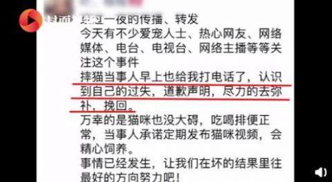女子退猫不成暴摔小猫还用脚踩,监控拍下虐心一幕,当事人回应了