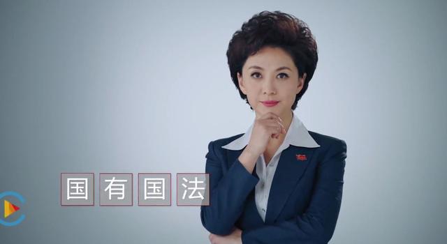 央视女主播海霞再担国家监委新职务!