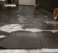 搞笑GIF：直播UP主，挑战中国生产的风油精，宝宝懵逼了！
