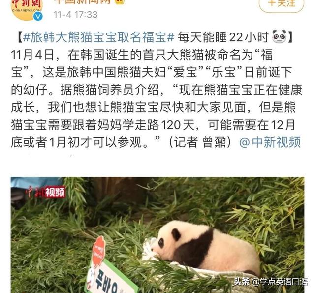 韩国女团BLACKPINK违规接触大熊猫引争议,网友热议不断