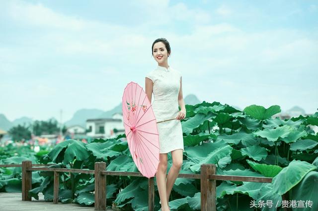 围观！贵港荷花展开展仪式明天举行！现场要来一位“网红”美女主播？