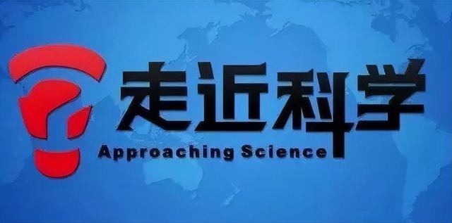 央视女主持曹晴,嫁给美国富豪被虐待,一年后饿得皮包骨头