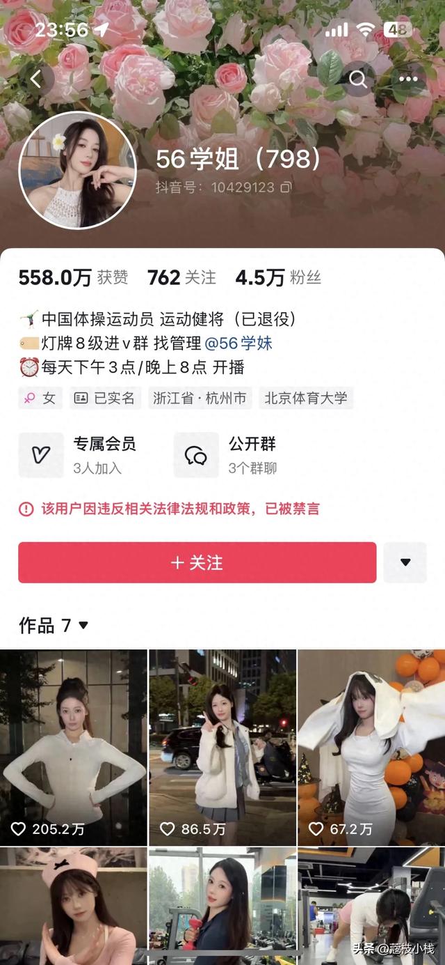 童锦程惹上事了?吴柳芳账号及其背后mcn因色情低俗被处置